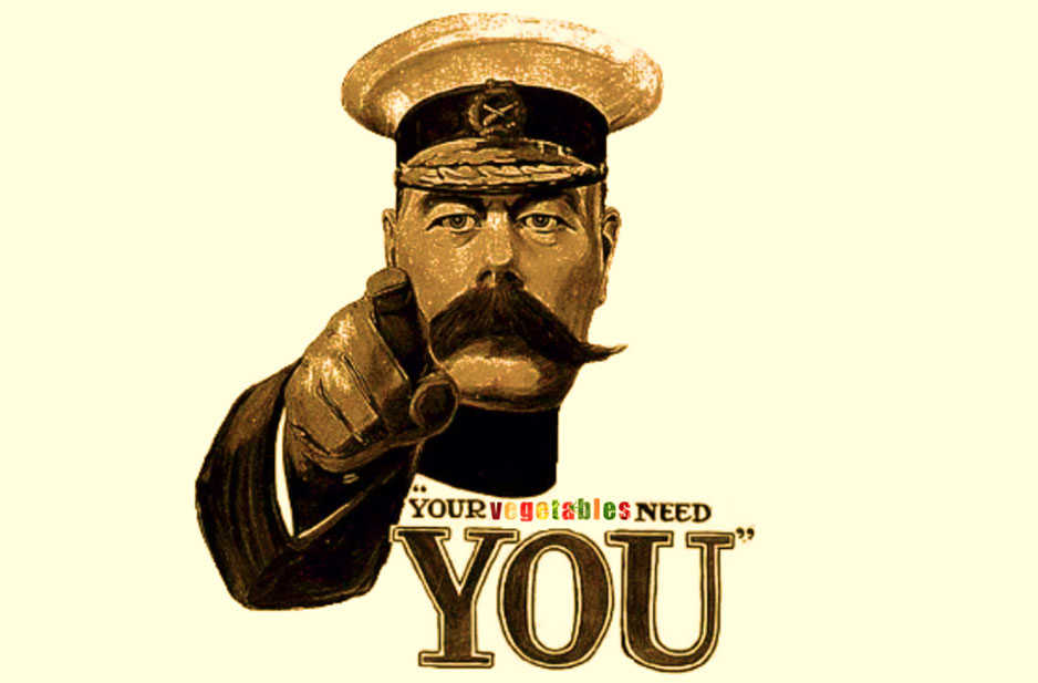 Time to starting a veg patch in the back yard?