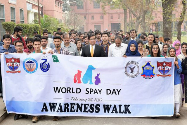 World Spay Day observed at University of Veterinary and Animal Sciences