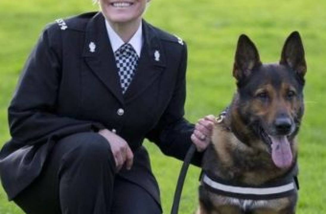 Charity fears adopters will struggle to care for expensive retired police dogs due to cost of living crisis