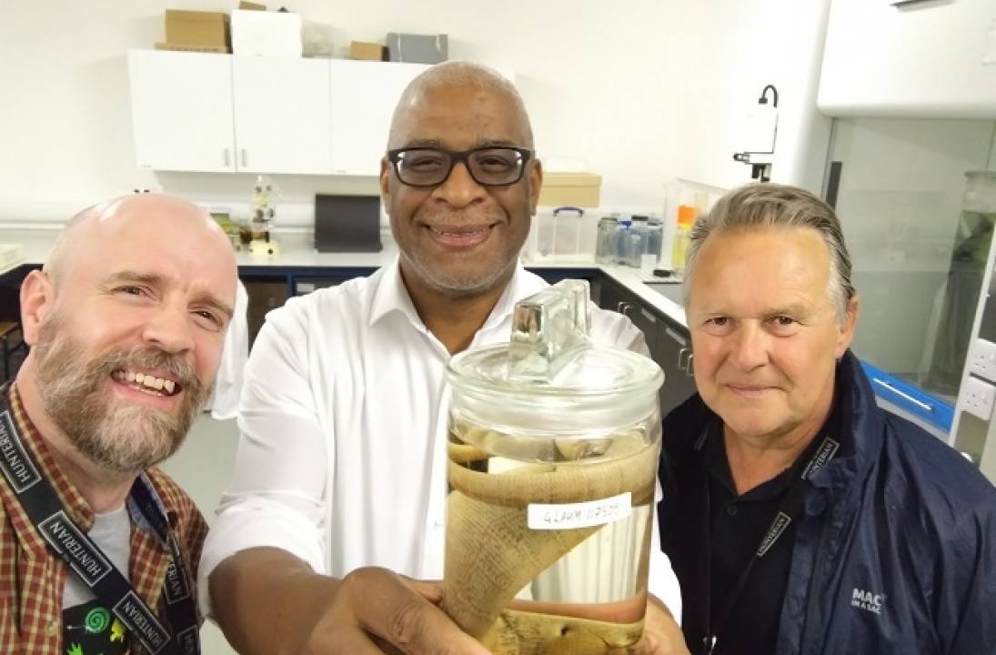 Historic Jamaican Giant Galliwasp specimen reparation announced by universities
