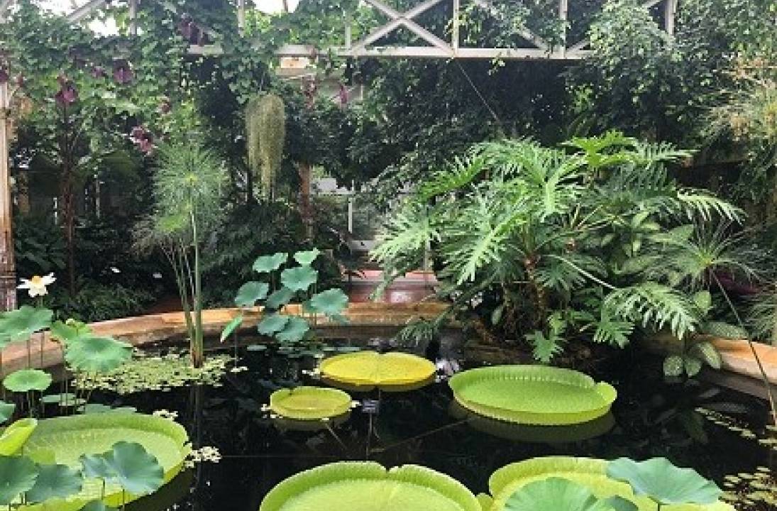 Birmingham’s youth to benefit as BCU and Botanical Gardens expand partnership